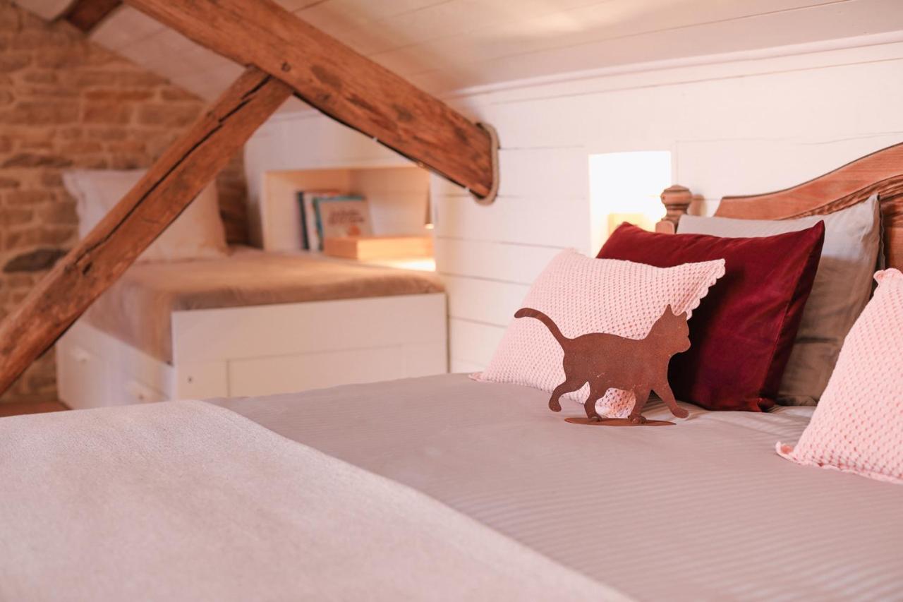 Les Chambres Du Chat Sainte-Cécile Dış mekan fotoğraf