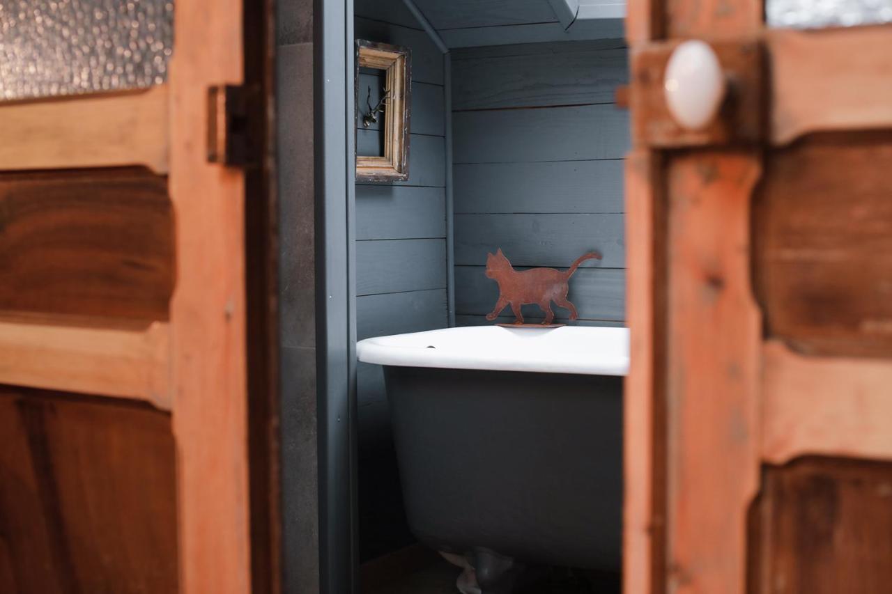 Les Chambres Du Chat Sainte-Cécile Dış mekan fotoğraf
