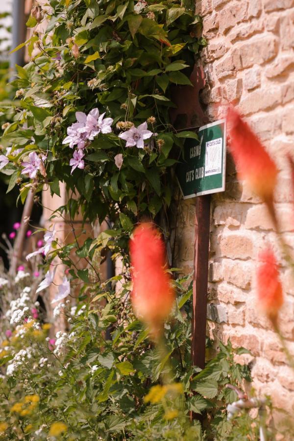 Les Chambres Du Chat Sainte-Cécile Dış mekan fotoğraf